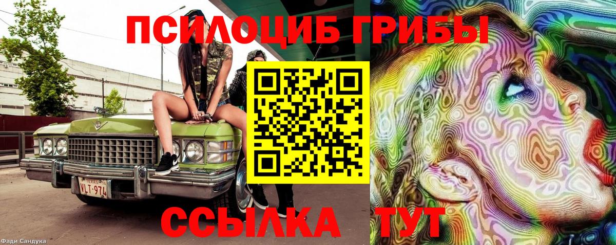 Димитровград  Псилоцибиновые грибы MAGIC MUSHROOMS  Вход с VPN 